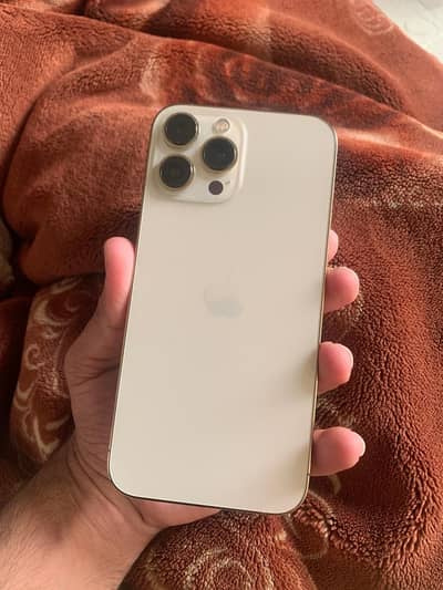 Apple iPhone 13 Pro Max