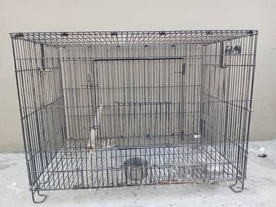 AOA YA CAGES FOR SALE  ha