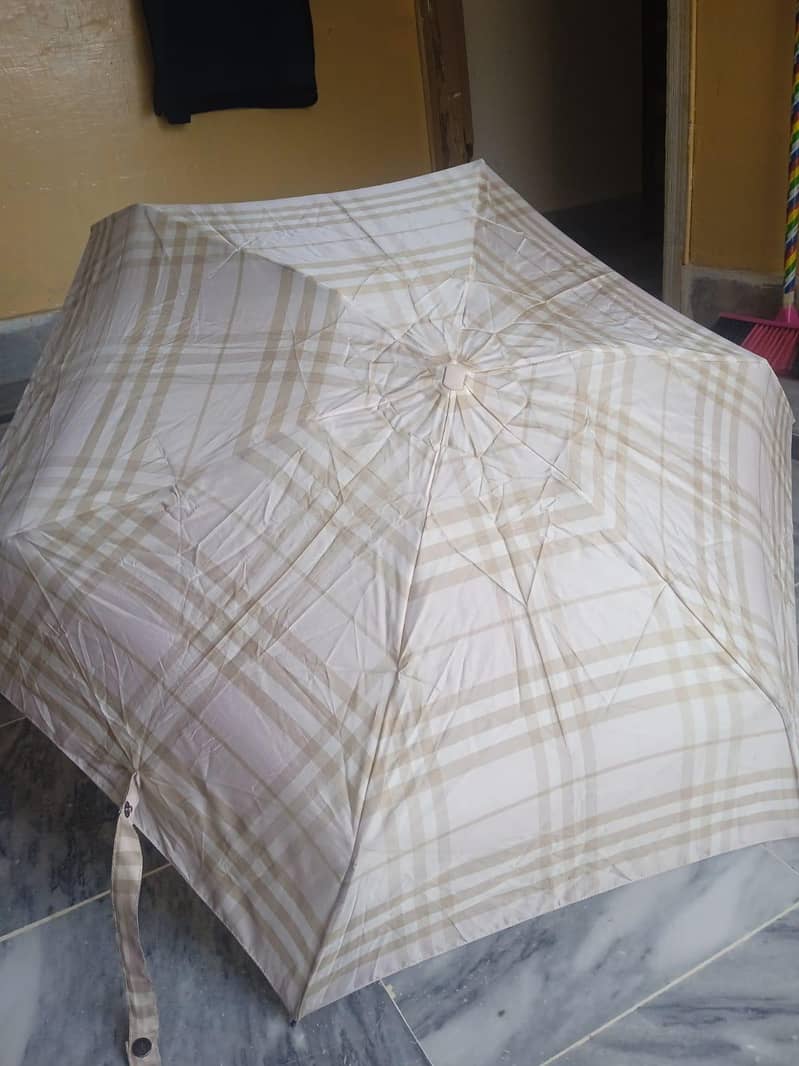 Umbrella 1