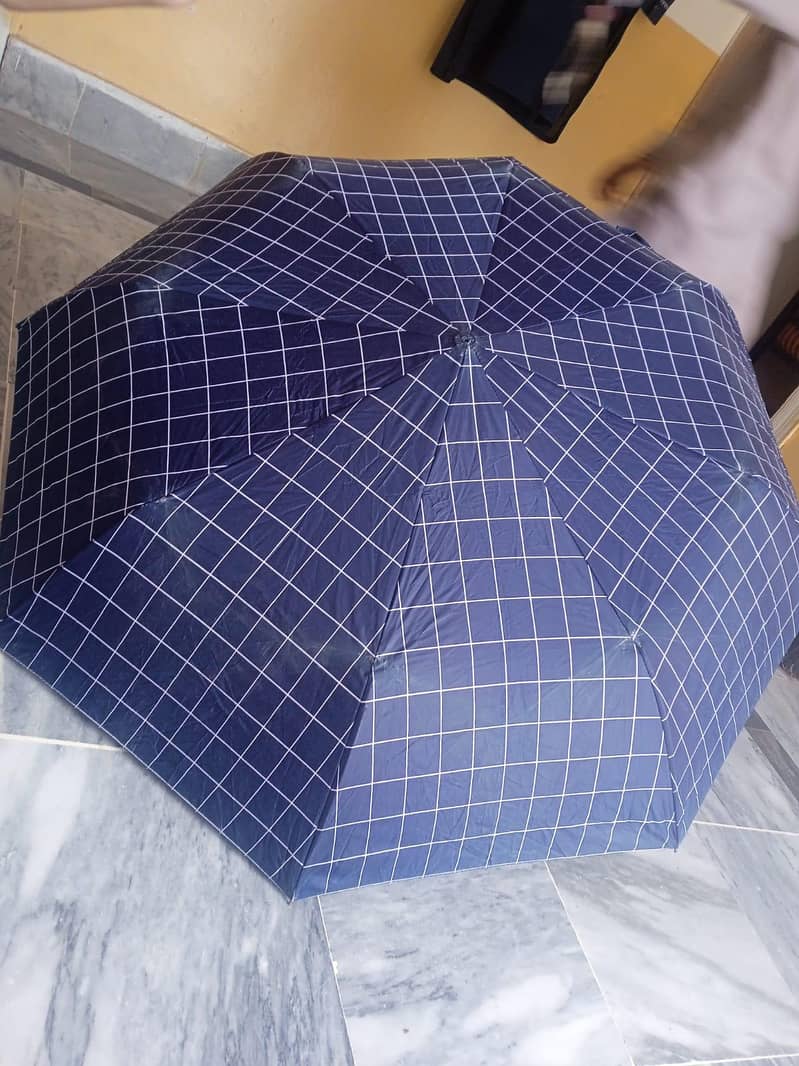 Umbrella 3