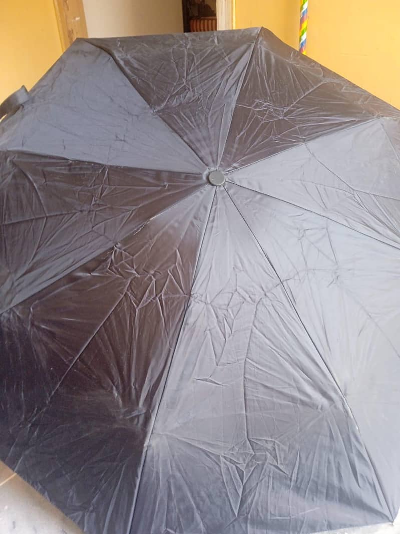 Umbrella 4