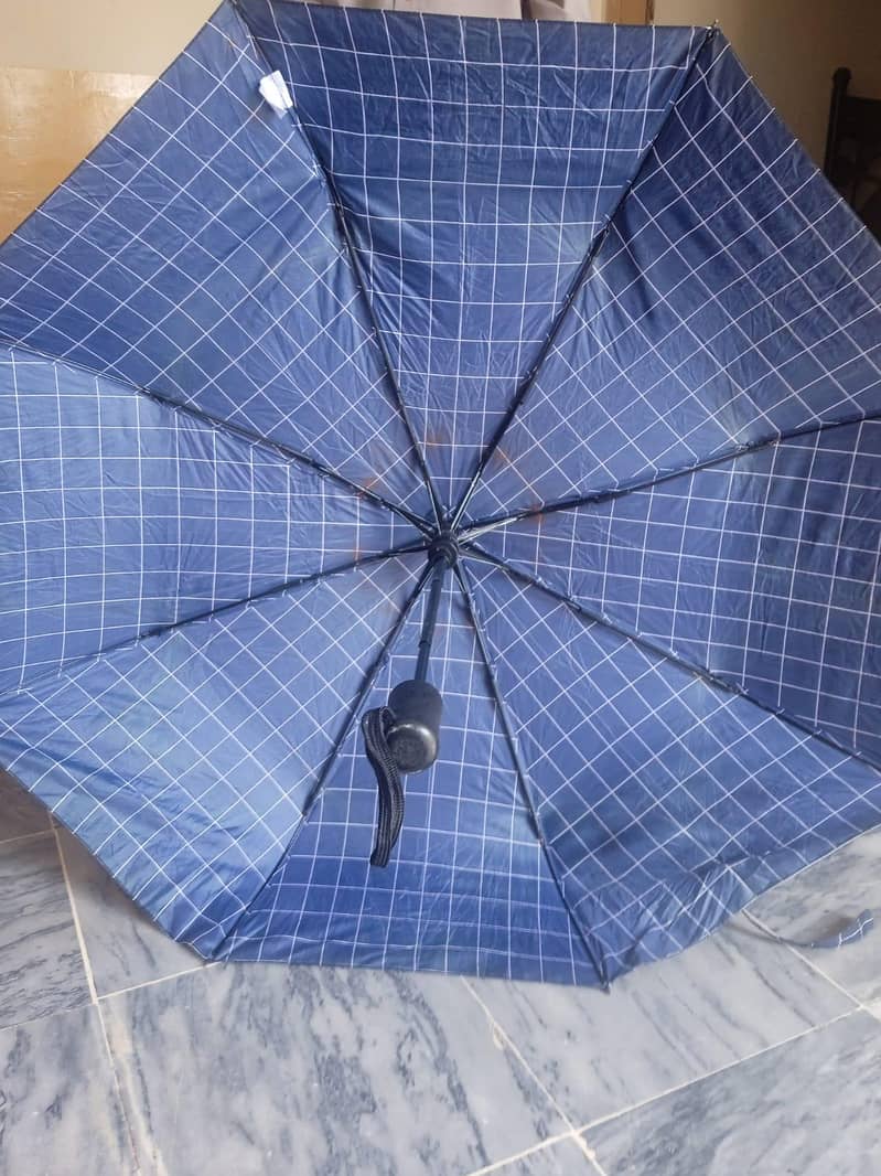 Umbrella 5