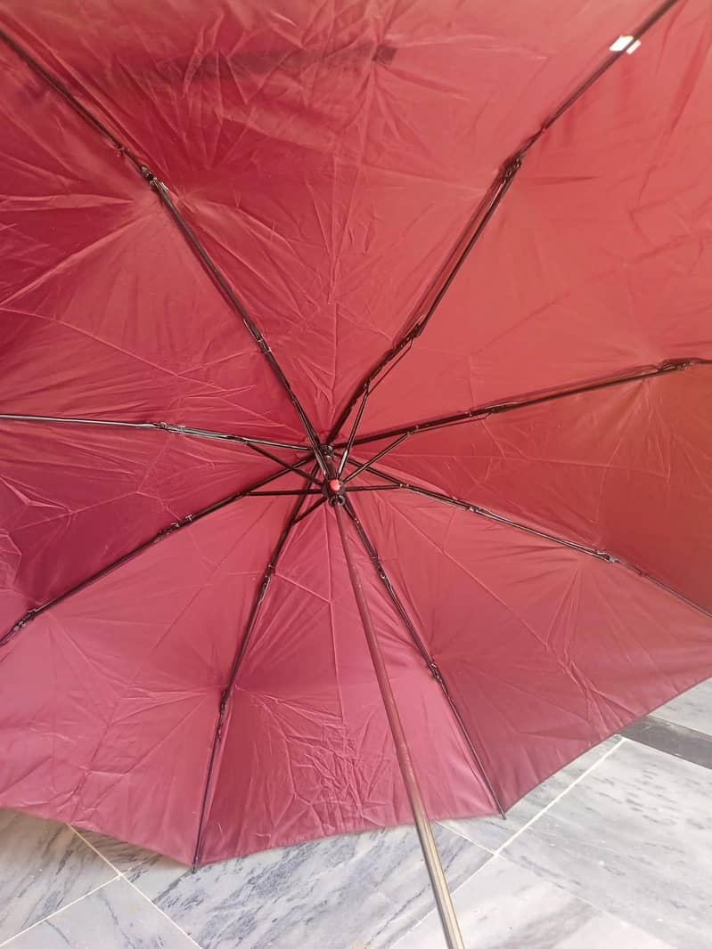 Umbrella 6