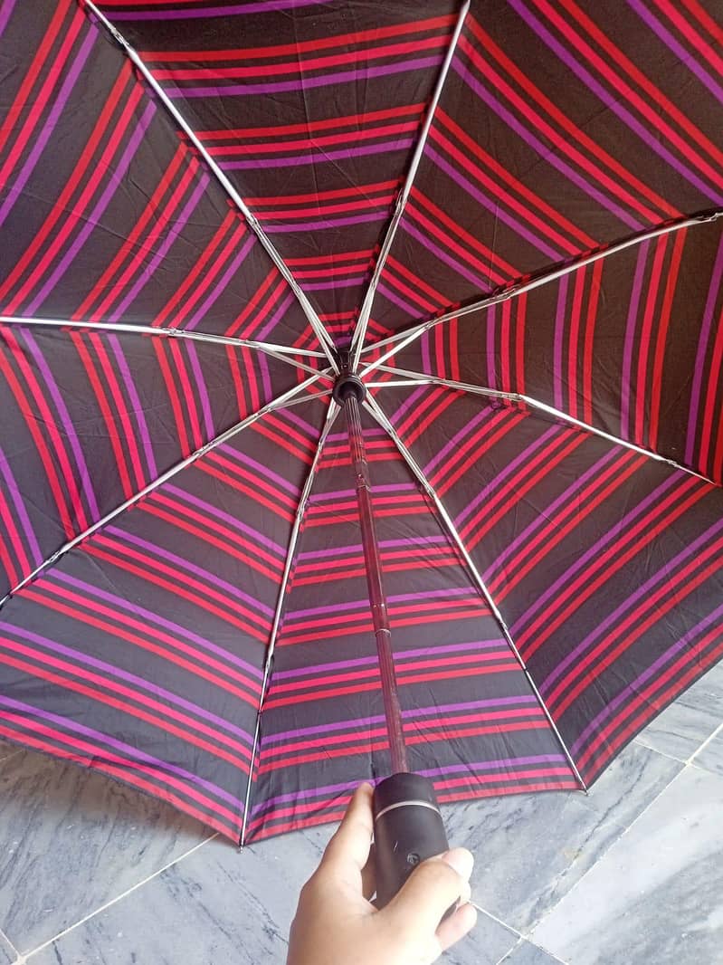 Umbrella 7