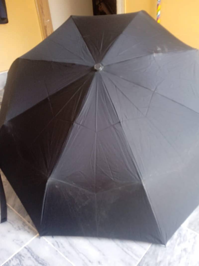 Umbrella 8