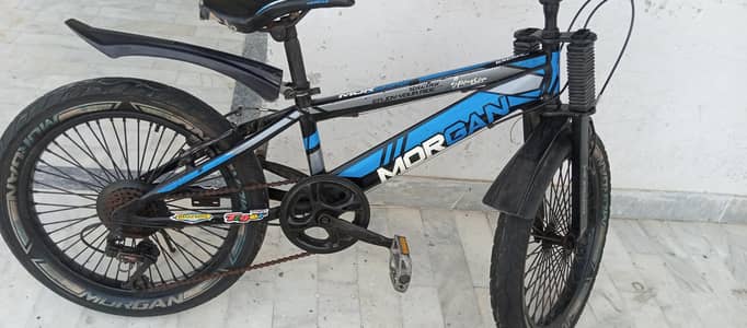 20 size Morgan fat tire