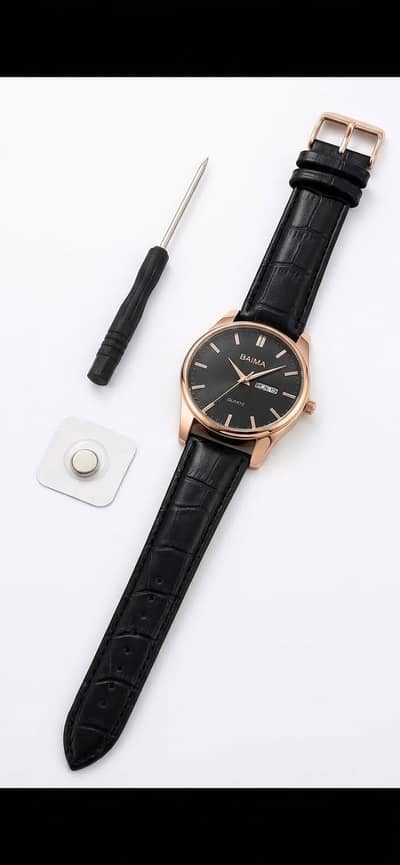 Dual Calendar Watch