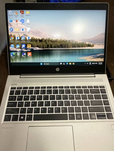 HP ProBook 445 G7 AMD Ryzen 5 4500U