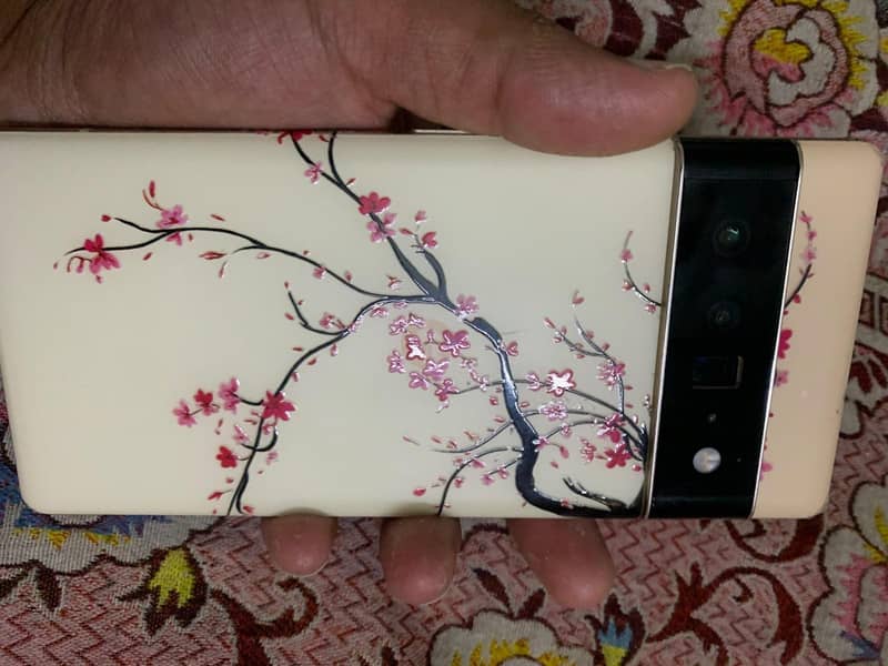 Pixel 6 Pro exchange possible 5