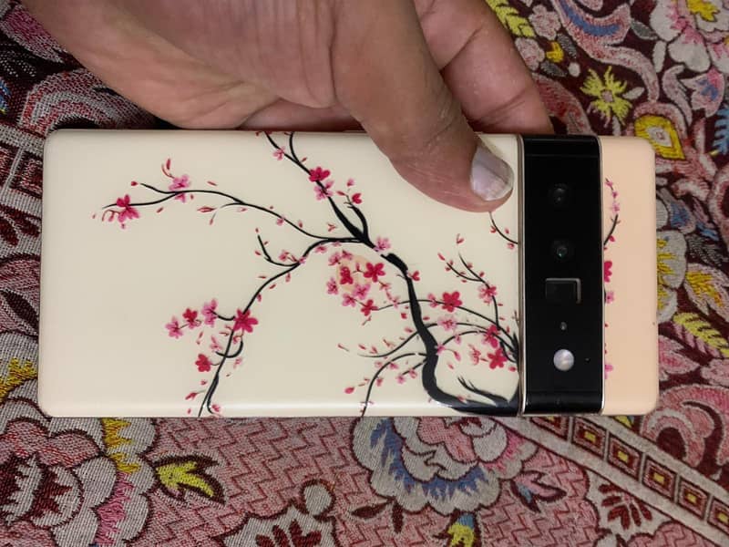 Pixel 6 Pro exchange possible 7