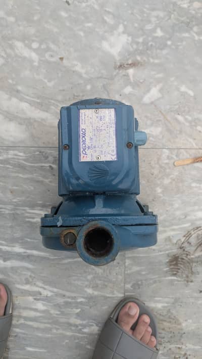 Original Italian Pedrollo Water Pump CPm 158 (1 HP) -