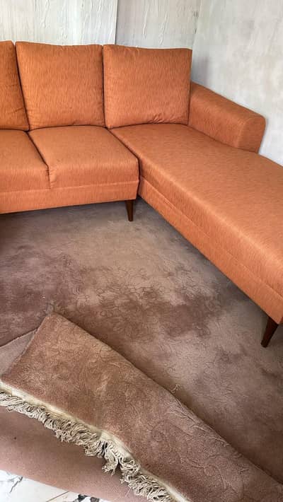 carpet / carpet for sale / new carpet