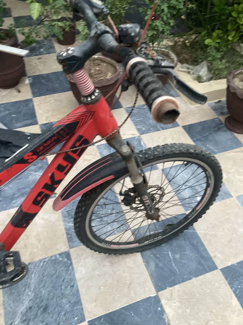 Cycle 4