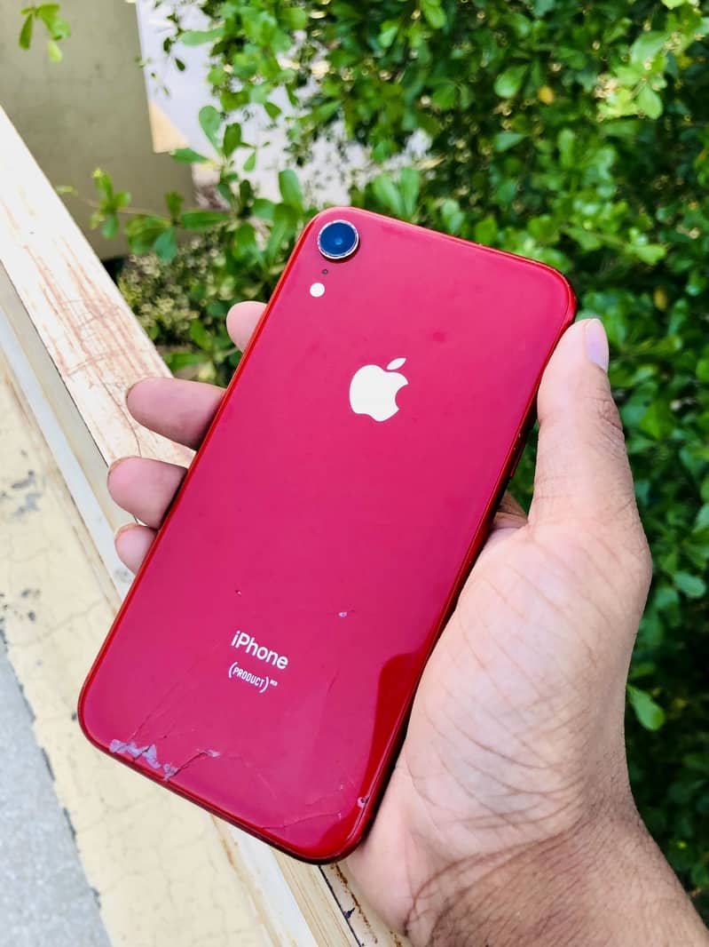 Apple iPhone XR 6