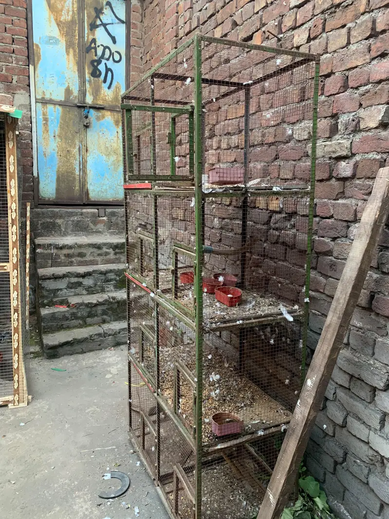 8×1 cage iron angle sy khod ready karwaya hai just paint hony wala hai — photo 2
