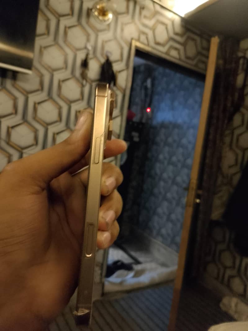Apple iPhone 16 Pro Max 4