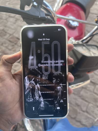 Apple iPhone 13 Pro Max
