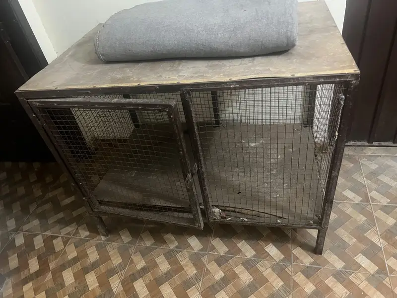 Murghiyon ka pinjra/Hen cage for sale — photo 2