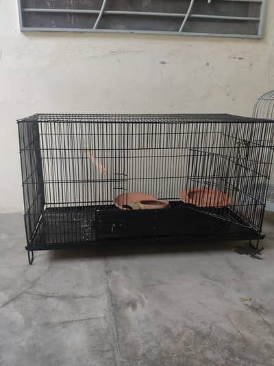 parrot, hen's, bird's cages,