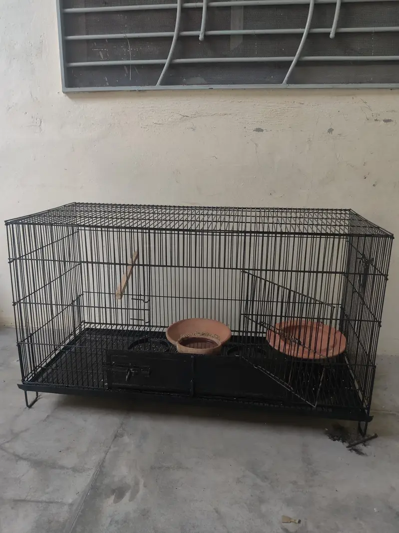 parrot, hen's, bird's cages, — photo 2