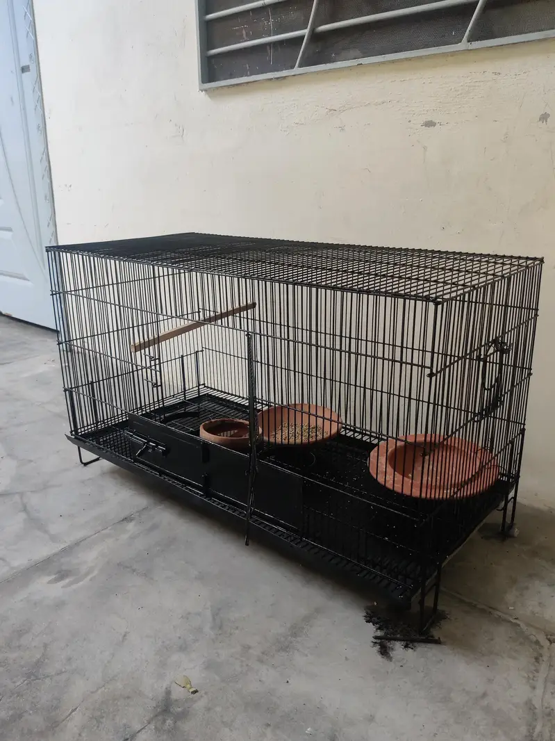 parrot, hen's, bird's cages, — photo 3