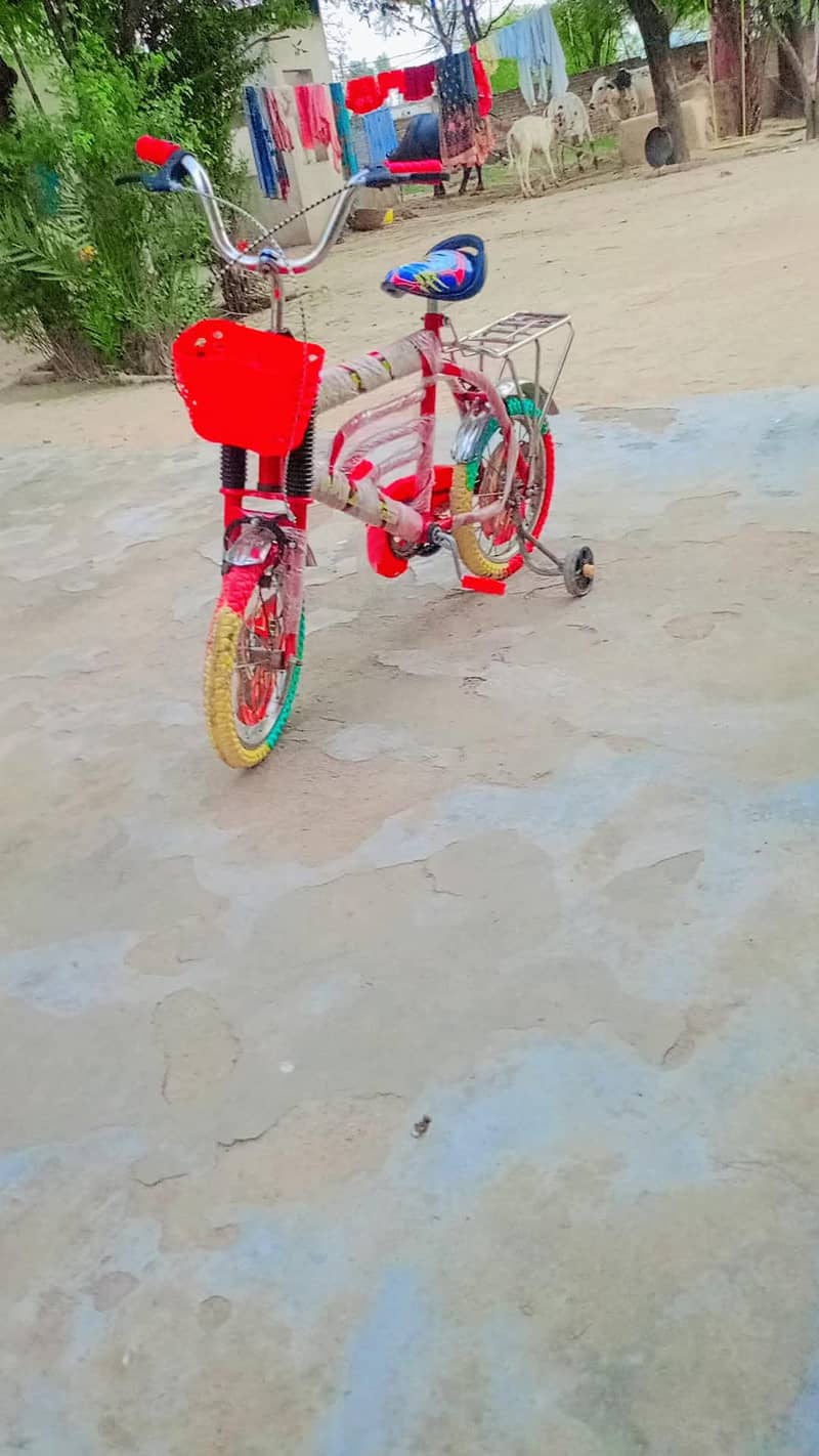 arjnat sal 1