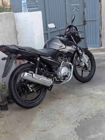 Ybr for sale