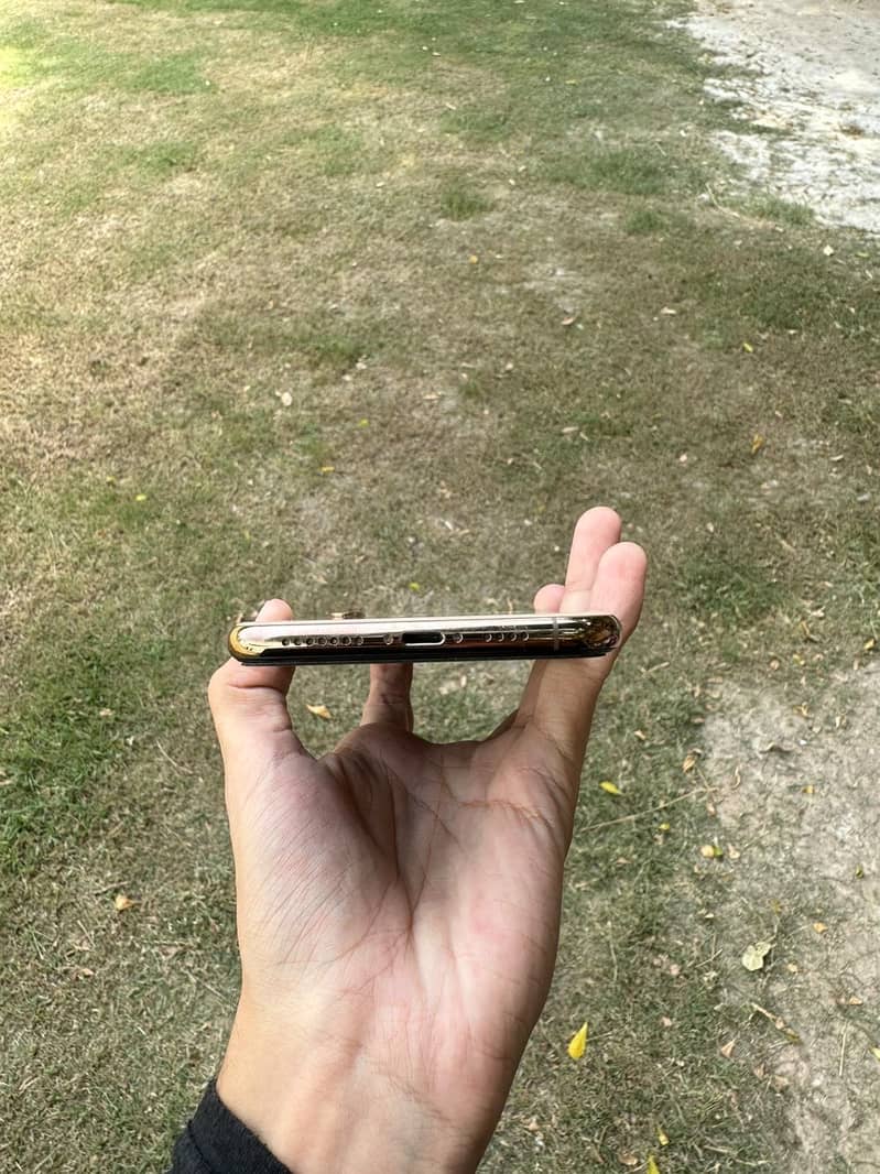 Apple iPhone XS Max 1