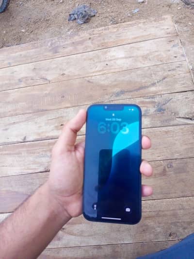 Apple iPhone 13 Factory Unlocked