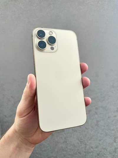 Apple iPhone 13 Pro Max