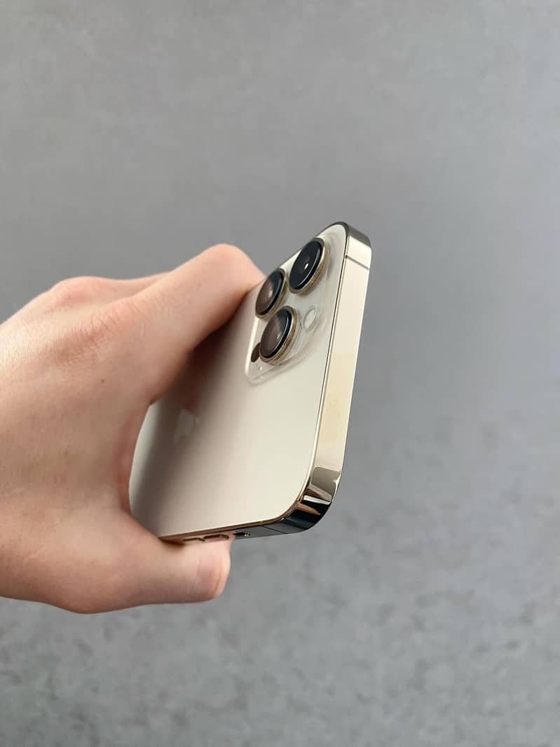 Apple iPhone 13 Pro Max 1