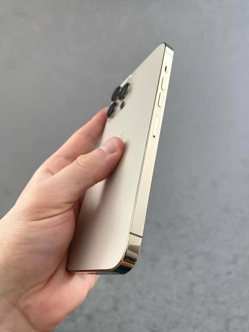 Apple iPhone 13 Pro Max 2