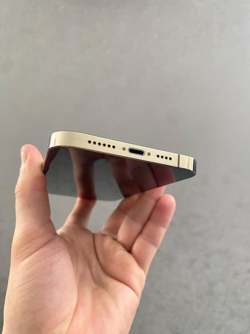Apple iPhone 13 Pro Max 3