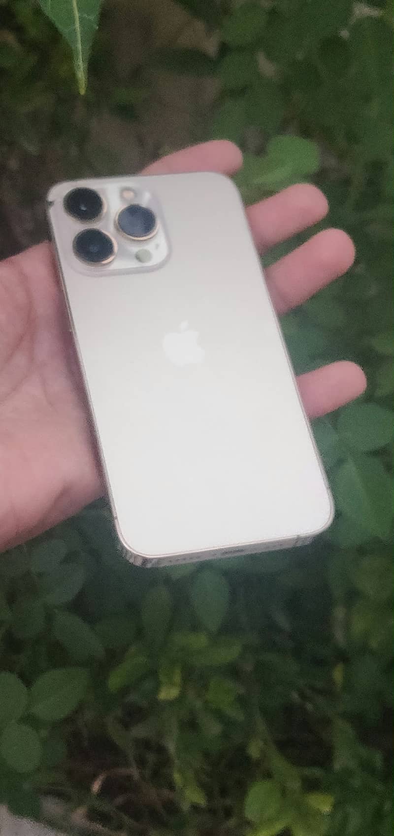 iPhone 13 Pro 0