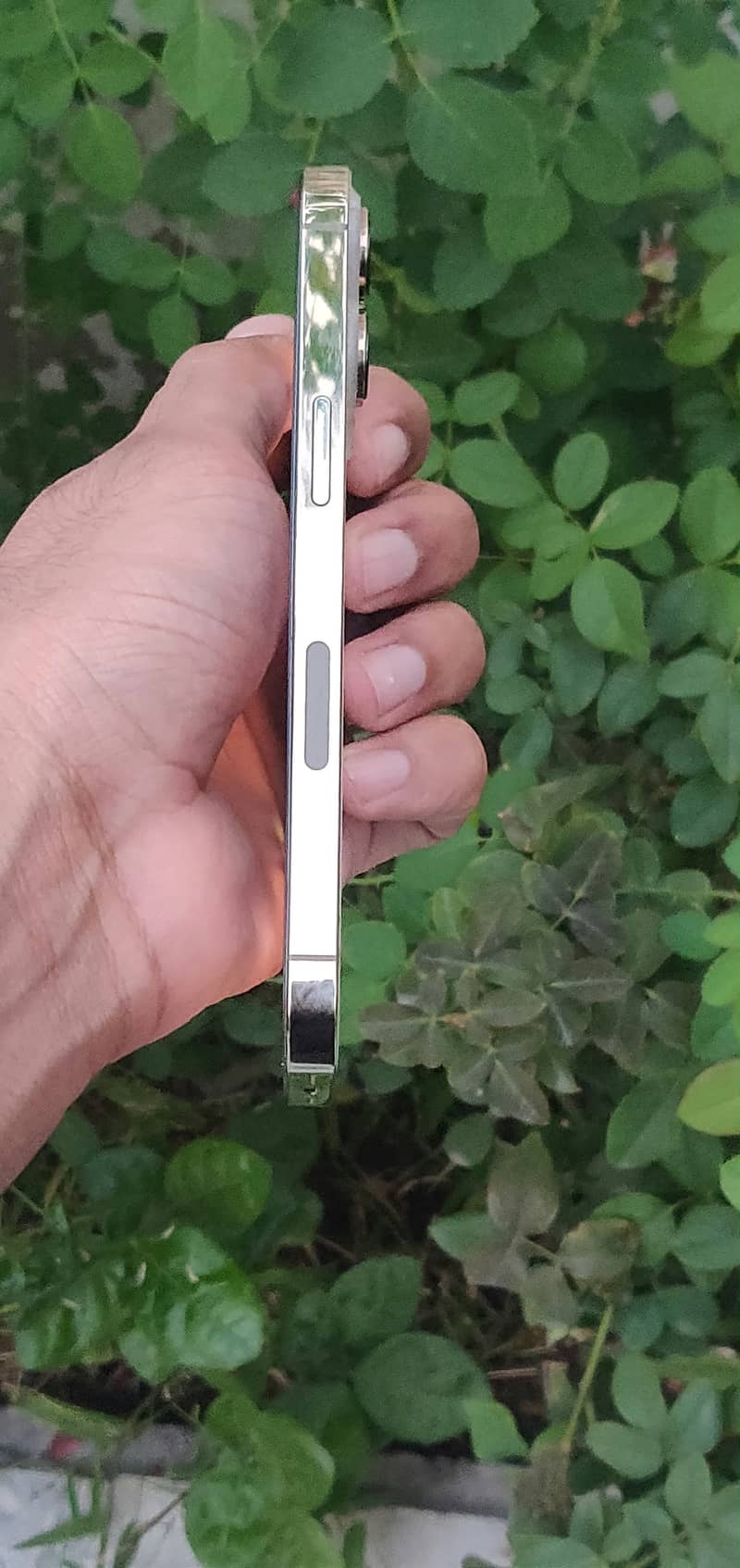 iPhone 13 Pro 1