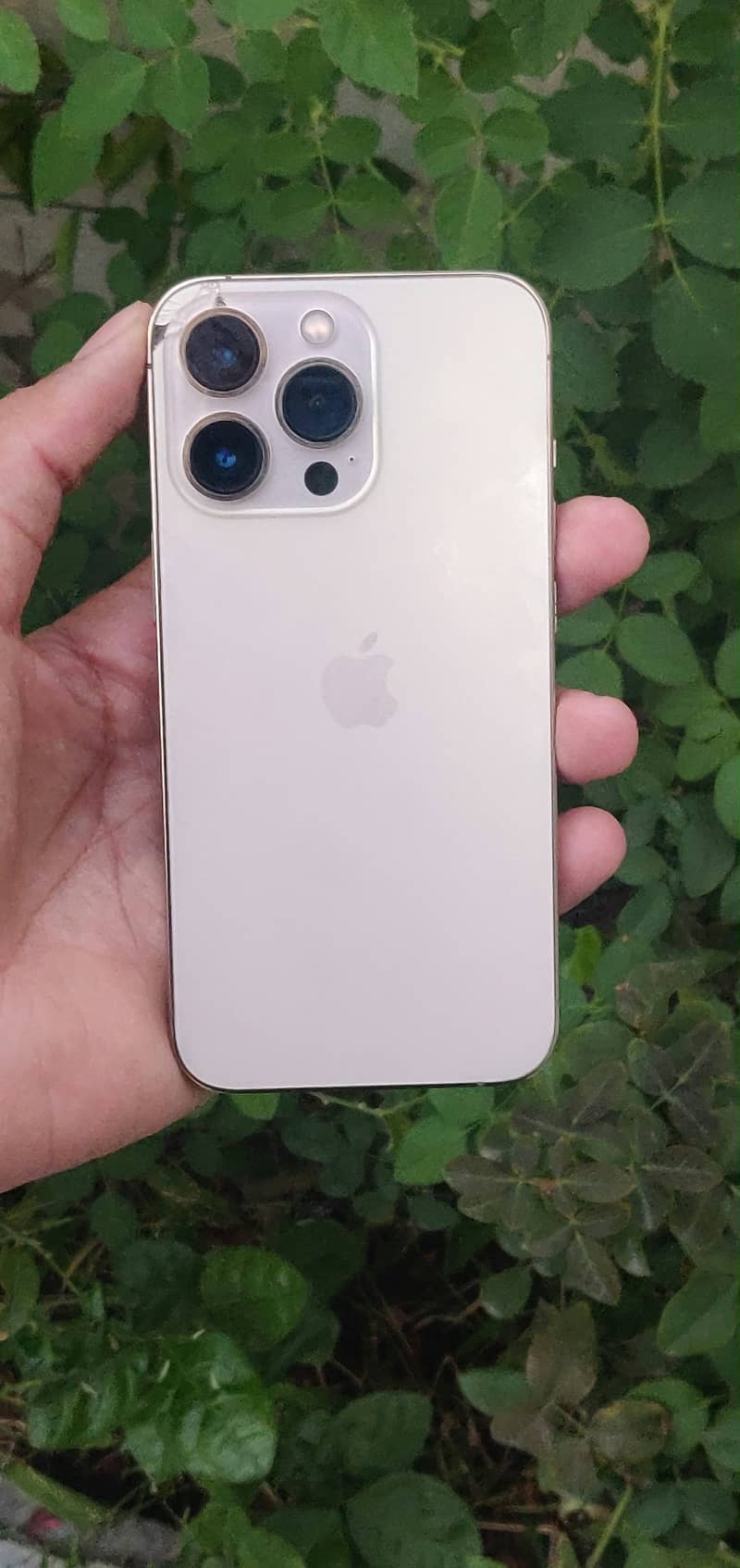 iPhone 13 Pro 2