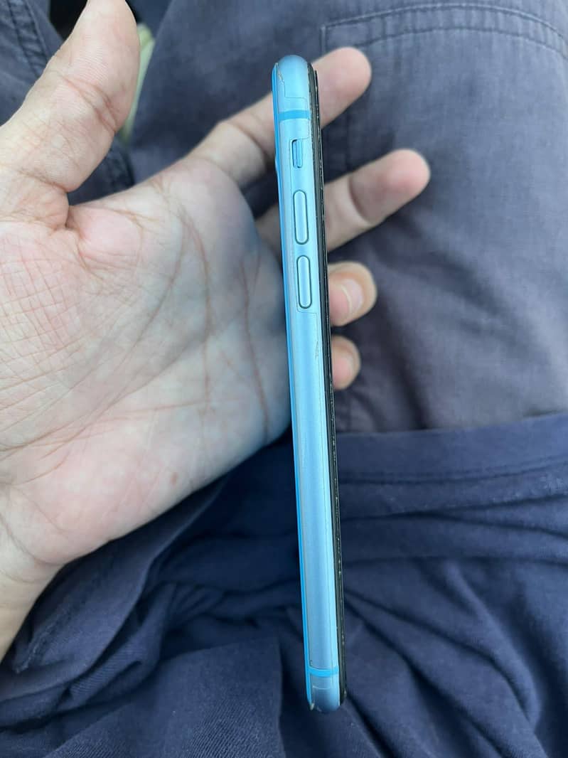 Apple iPhone XR 6