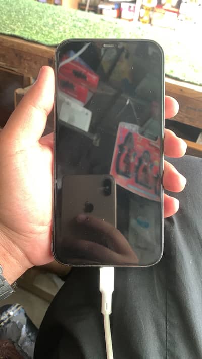 Apple iPhone 12 Pro Max