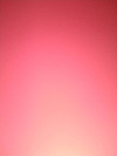 Need Apple iPhone 12 Pro Max