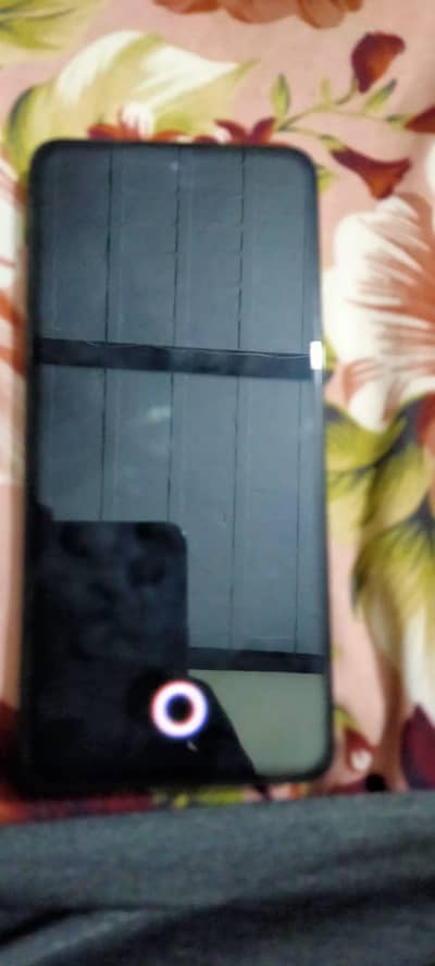 appo reno premium flagship reno12 f