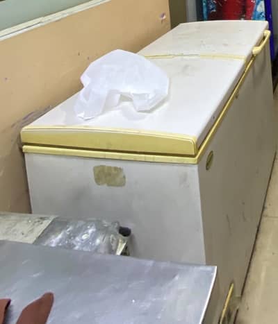 Deep freezer/ freezer