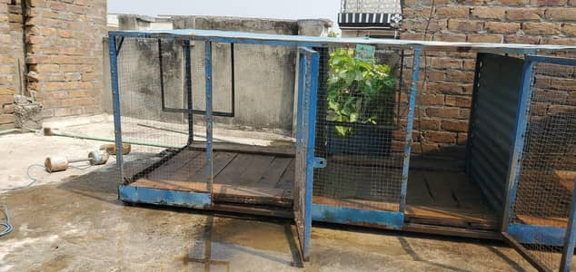 Hens cage