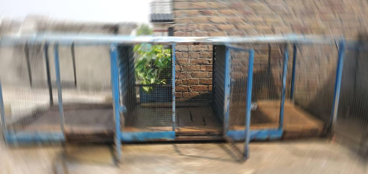 Hens cage 1