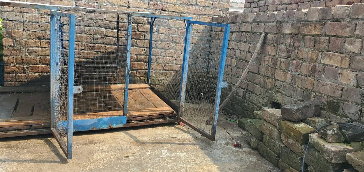 Hens cage 3