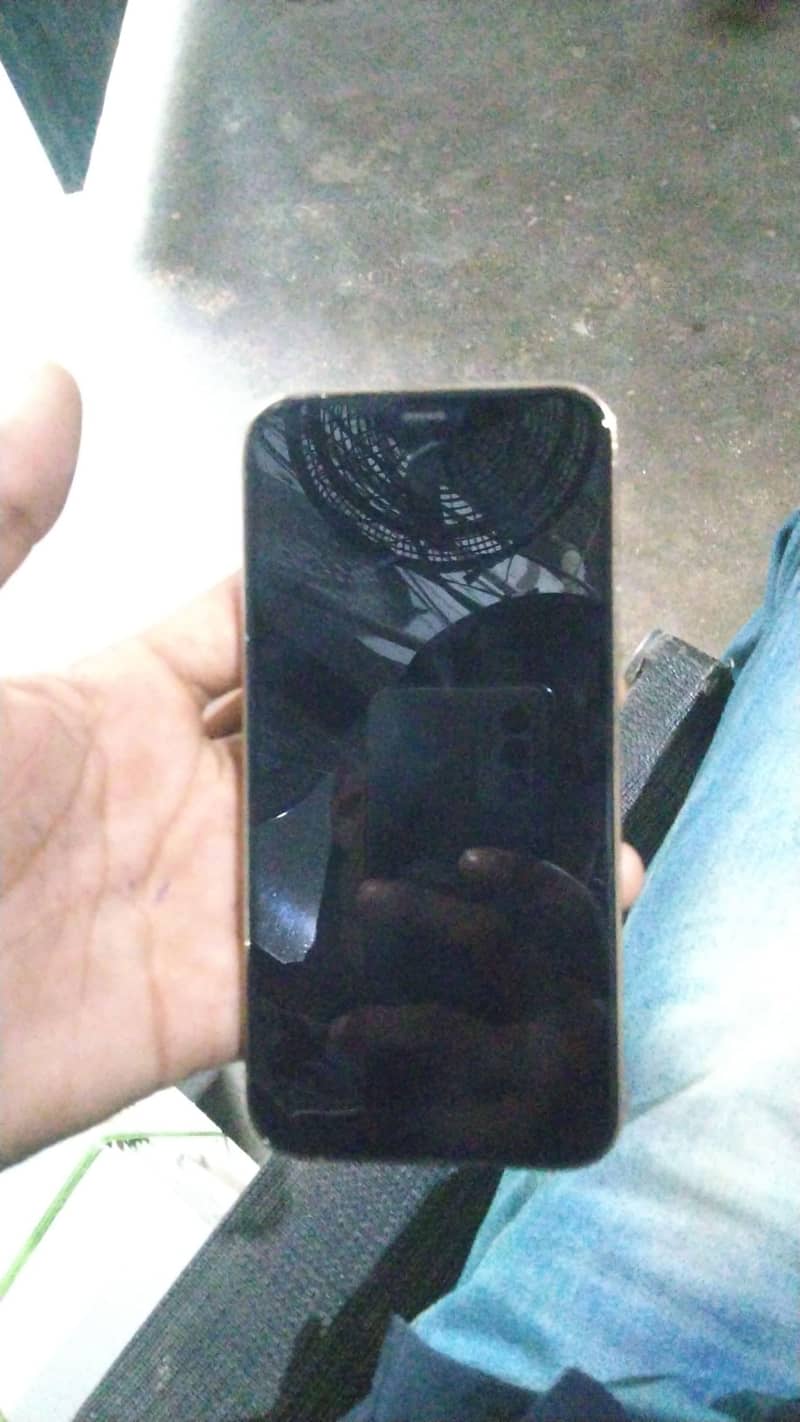 Apple iPhone 12 1