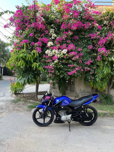 Yamaha YBR 125 G