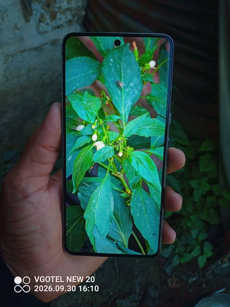 Google Pixel 8 Pro 1