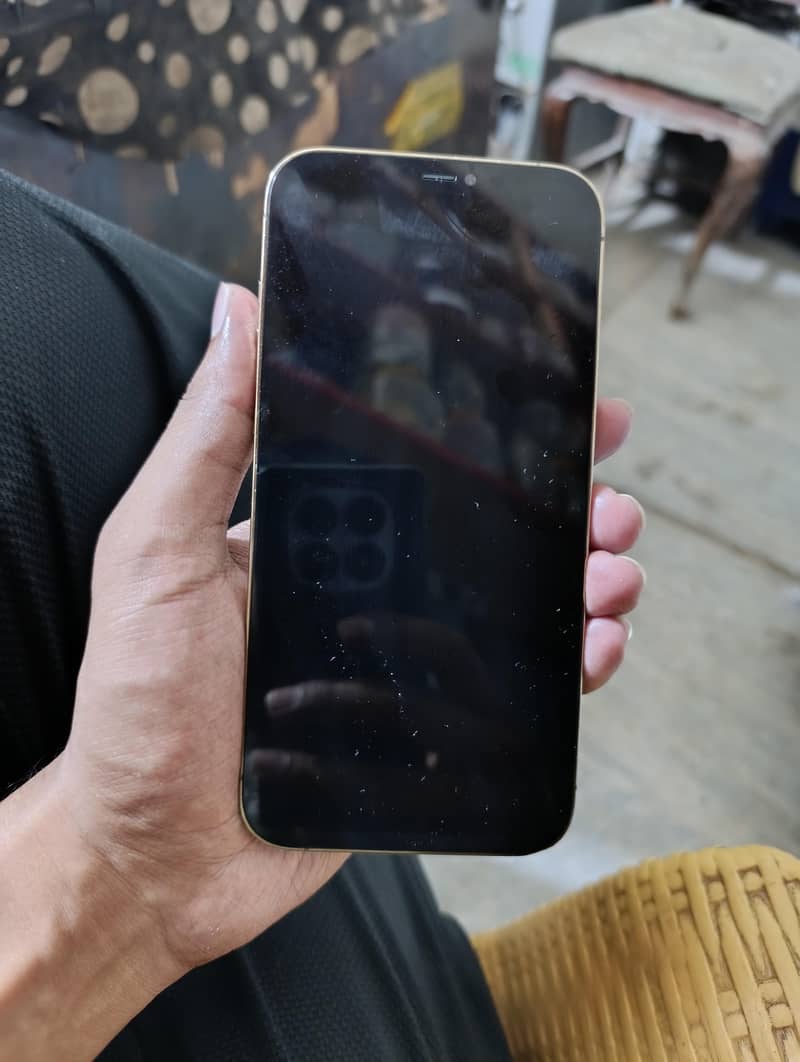 Apple iPhone 12 Pro Max 6