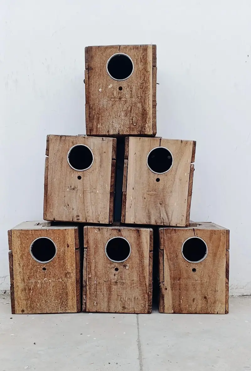 LOVEBIRD KEEKAR BOX — photo 2