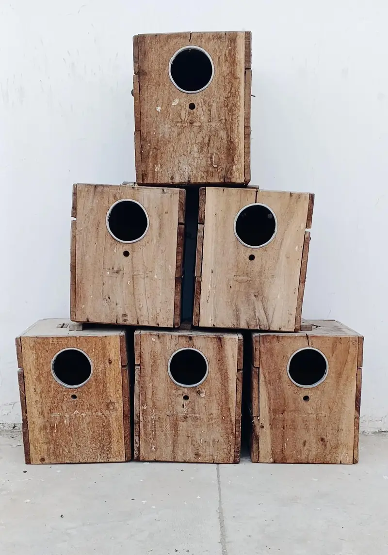 LOVEBIRD KEEKAR BOX — photo 3